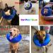 Katoggy Inflatable Dog Cone Collar - Soft Recovery Collar for Dogs & Cats - Adjustable Elizabethan Collar for Surgery - Large Blue - Buy Online on GoSupps.com