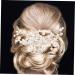Didiseaon Bridal Comb Wedding Hair Accessories for Brides Flower Girl Hair Accessory Bridal Accessories Prom Hair Accessories Crystal Hair Accessories Manual Alloy Hair Comb - Buy Online on GoSupps.com