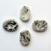 Rainbow Moonstone Healing Crystal Thumb Worry Stone - Intuition, Harmony & Stress Relief Gift - Buy Online on GoSupps.com