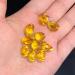 QGKLTSNA Natural Glass Gold Ingot Symbol of Wealth Used for Home Decoration Presents a Good Representative - Buy Online on GoSupps.com