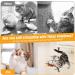 Buy Interactive Cat Toys with Bird Feathers & Springs - 4 Replacement Springs & Bells for Cats & Kittens - Engaging Toys for Small & Big Cats - Buy Online on GoSupps.com