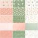 Echo Park Paper Co. It's a Girl 15 Fat Quarters by Riley Blake Designs - FQ-13320-15 - Buy Online on GoSupps.com