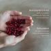KORRES Pomegranate Pore lurring Gel-Moisturizer for Normal-Combination Skin - Buy Online on GoSupps.com