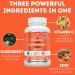 Elderberry with Zinc & Vitamin C Capsules - Immune Support & Antioxidant Protection - 1000mg Vitamin C, 50mg Zinc - Non-GMO, 60 Veggie Capsules - Buy Online on GoSupps.com