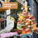 Mymulike Bird Toys for Parrots | Natural Corn on the Cob Accessories for Budgies & Large Parrots - Buy Online on GoSupps.com