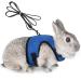 Adjustable soft rabbit dishes with elastic leash for small animal kitty pet dishes and leash for bunnies cat little pet walking (blue XL (breast 34-42cm)) XL (breast 34 -42cm) Blue
