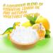 Kids Natural Lemon Soap Bar with DINO Toy - Handmade in USA - Clear Glycerin for Safe Skin - 2 Piece Set - Buy Online on GoSupps.com