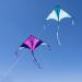 JOYIN Large Delta Kite 2-Pack - Blue and Purple - Easy-to-Fly Kites for Kids and Adults - 262.5 ft String - Outdoor Beach Games - Buy Online on GoSupps.com