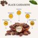 Black Cardamom Pods | Black Elaichi |100gm | Authentic | All Natural | Vegan | Gluten Friendly | Non-GMO | Smokey | Tsaoko | Cao Guo | Bach Dan Khau | Badi - Buy Online on GoSupps.com
