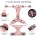 Shop Heele Dog Crockery & No-Pull Harness - Soft Reflective Padded Handle for Medium Dogs - Pink Flower Design - Buy Online on GoSupps.com