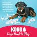 KONG Puppy X-Small Assorted Colors - Buy Online on GoSupps.com