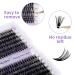 Cluster Lashes 30/40D Mixed Natural C/D Curl 0.07mm Matte Black Soft 12-16mm Mink DIY Extension - Wendy Lashes - Buy Online on GoSupps.com