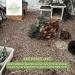 HEULAND Forest Floor Bedding - Natural 10KG for Rabbits Guinea Pigs Chickens & Rodents - Eco-Friendly Pet Care - Buy Online on GoSupps.com