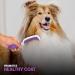 Stainless Steel Ever Gentle Slicker Brush for Dogs | Rubber Handle | Effective Grooming Tool - Buy Online on GoSupps.com