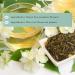 Majestic Tea_ JASMINE TEA | Green Tea | Tea | Individually Wrapped 20 Pyramid Tea Bags| Aromatic Jasmine | Real Jasmine Buds | Whole Leaf Tea Bags | Floral Taste. - Buy Online on GoSupps.com