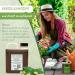 Exquisite Neem Oil with Rimulgan Emulsifier - 1L for Healthy Plants | Buy Premium Nature Products Online - Buy Online on GoSupps.com