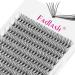 Fadlash 15mm D Curl Cluster Eyelash Extension 20 Root 0.07mm - DIY Self-Application Individual Lashes - Buy Online on GoSupps.com