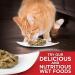 Hill's Science Diet Adult Oral Care Cat Food Chicken Recipe Dry Cat Food for Dental Health 3.5 lb Bag 1.59 kg (Pack of 1) Adult | Chicken - Buy Online on GoSupps.com