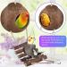 Erkoon Bird Toys for Parrots | Wooden Hanging Bells Hammocks & Rocking Toys - Perfect for Small Birds - Buy Online on GoSupps.com