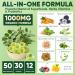 Moringa Gummies 1000mg for Women & Men Sugar-Free, 13-in-1 Superfood with Turmeric, Ashwagandha, Trans-Resveratrol, VB12 D3, Pure Moringa Leaf Supplement for Energy, Immune, Skin,Antioxidant, 60 Chews 60 Count (Pack of 1) - Buy Online on GoSupps.com