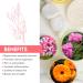 Wild White Rose Toner | Purifying Face Toner for Cleansing & Reconditioning Skin | 100 mL / 3.4 fl. oz - Shop Internationally - Buy Online on GoSupps.com