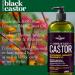 Hair Chemist Superior Growth Jamaican Black Castor Shampoo 33.8 oz - Sulfate Free Natural Ingredients for Ultimate Hair Health | International Shipping Available - Buy Online on GoSupps.com
