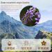  HQZMCTE Naturally Air-Dried Famous Chinese Flower Tea Herbal Tea 30g / 1.05oz Dried Purple Flower Tea for Health - Buy Online on GoSupps.com