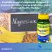 Magnesium 250 mg- Bone Muscle Health Tablets 100 Ct (Pack of 1) - Buy Online on GoSupps.com