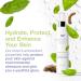 YOUN Beauty Green Tea Toner Face Mist Spray - Alcohol-Free pH-Balancing Hydration | 180 ML - Dr. Anthony Youn - Buy Online on GoSupps.com