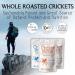 Cricket Bites: Assorted Edible Insects 3-Pack | Portland-made Snacks - Buy Online on GoSupps.com