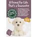 Living Nature Labradoodle Puppy Plush 16cm - Realistic & Eco-Friendly Toy - Buy Online on GoSupps.com