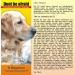Desensitization CD for Dogs Puppies Cats & Horses - 96 Everyday Sounds | Don't Be Afraid - Buy Online on GoSupps.com