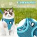 Breakproof Adjustable Cat Dishes with Leash - Soft & Durable for Cats Small Dogs & Rabbits (XS) | International Shipping Available - Buy Online on GoSupps.com