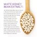 BioGenetic Labs Carb Blocker X7 - White Kidney Bean Cheat Pill for Keto - 90 Capsules for Weight Management in Women and Men - Buy Online on GoSupps.com
