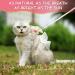 Escape Proof Pink Cat Harness and Leash Set for Small and Large Cats - Junsirs (Pink S 7.09-8.66 (18-22cm)) - Buy Online on GoSupps.com