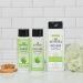 J.R. Watkins Daily Hydration Conditioner Aloe & Green Tea 354ML - Buy Online on GoSupps.com