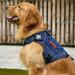 Oneigris Tactical Dog Harness - Fire Watcher Safety Vest for Service Dogs - No-Pull Design 1000D Nylon Large Blue - Buy Online on GoSupps.com