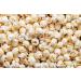 Concession Essentials Gourmet Mushroom Extra Large Popcorn Kernels - 2lbs 2lb-Mushroom Kernels - Buy Online on GoSupps.com