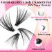 Calphdiar D Curl Cluster Eyelash Extensions - 240PCS 40D & 50D Individual Wispy Lashes - 9-16MM DIY Lash Clusters for Stunning Eyes - Buy Online on GoSupps.com