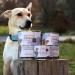 Mjamjam Premium Wet Food for Dogs - Grain-Free Pure Meat Enjoyment (6 x 200g) - Delicious Horse Flavor - Buy Online on GoSupps.com