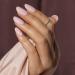 BLUESKY Gel Nail Polish Pure & Perfect SS2301 Nude Pink Long Lasting Chip Resistant 5 ml Requires Drying Under UV LED Lamp Nude Pink 5 ml (Pack of 1) - Buy Online on GoSupps.com