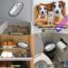 Bevital Unscented Cat Litter Room Deodorizer - Odor Eliminator for Litter Box & Small Animal Toilet - Rechargeable 360 Monitor - Buy Online on GoSupps.com