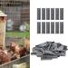 Cage Nails Not Reusable Birds Cage Nails Chicken Pigeons Cages Cages for Home Cages - Buy Online on GoSupps.com