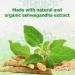 Reddy Naturals Aryana Pure Organic Ashwagandha Powder - High-Potency Root Extract with 10% Withanolides - Natural Orange Flavor for Stress & Energy Support - 4.2 OZ (120g) - Buy Online on GoSupps.com