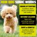 Dog Sonic Dog Training Spray NEW 180ml Size - Corrector Sound from Compressed Air for House Stop Dogs from Chewing Jumping - Anti Bark Break Fights - Dog Attack Deterrent Repellent Spray - Non-Toxic - Buy Online on GoSupps.com
