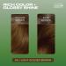 Clairol Natural Instincts Semi-Permanent No Ammonia Hair Dye 6G Light Golden Brown 6G Light Golden Brown 1 count (Pack of 1) - Buy Online on GoSupps.com