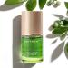 Organic Anti Aging Face Oil 100% Natural Hydrating Brightening Serum Squalane + Sea Buckthorn + Rosehip Oil Vitamin E Retinol Antioxidant Gua Sha Oil for Sensitive & Dry Skin Sculpting Oil