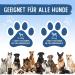 Animal Power Joint Tablets for Dogs - Made in Germany - Green Lipped Mussel & Teufel's Claw - 100 Bone & Joint Protection Tablets - Buy Online on GoSupps.com