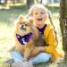 Shop Stylish Dog & Cat Triangular Bibs - Mermaid Silhouette - 2 Colorful Pieces for All Sizes - Buy Online on GoSupps.com