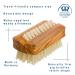 Redecker Natural Pig Bristle Travel Nailbrush with Waxed Olive Wood Handle - 2-1/4-Inches - Buy Online on GoSupps.com